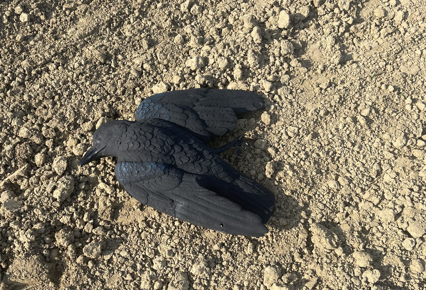 "Gummiadler"  Krähenschreck Attrappe