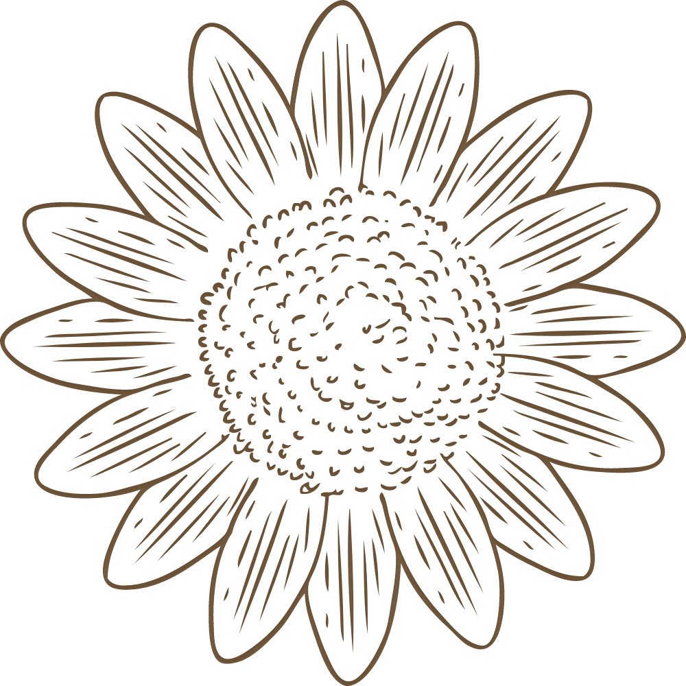 Sonnenblume