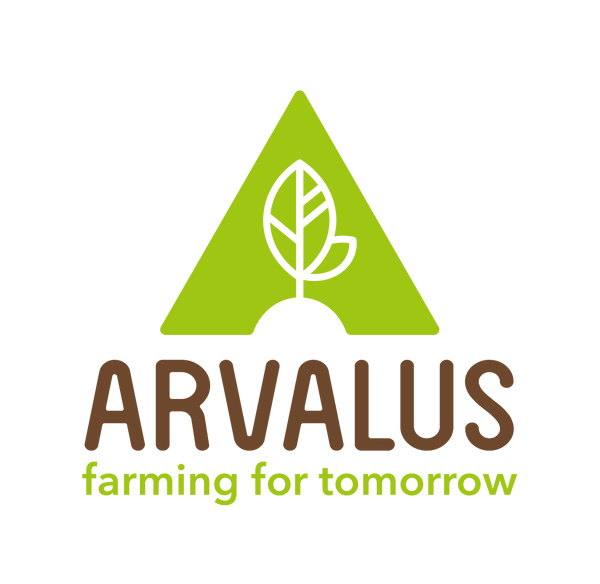 Arvalus